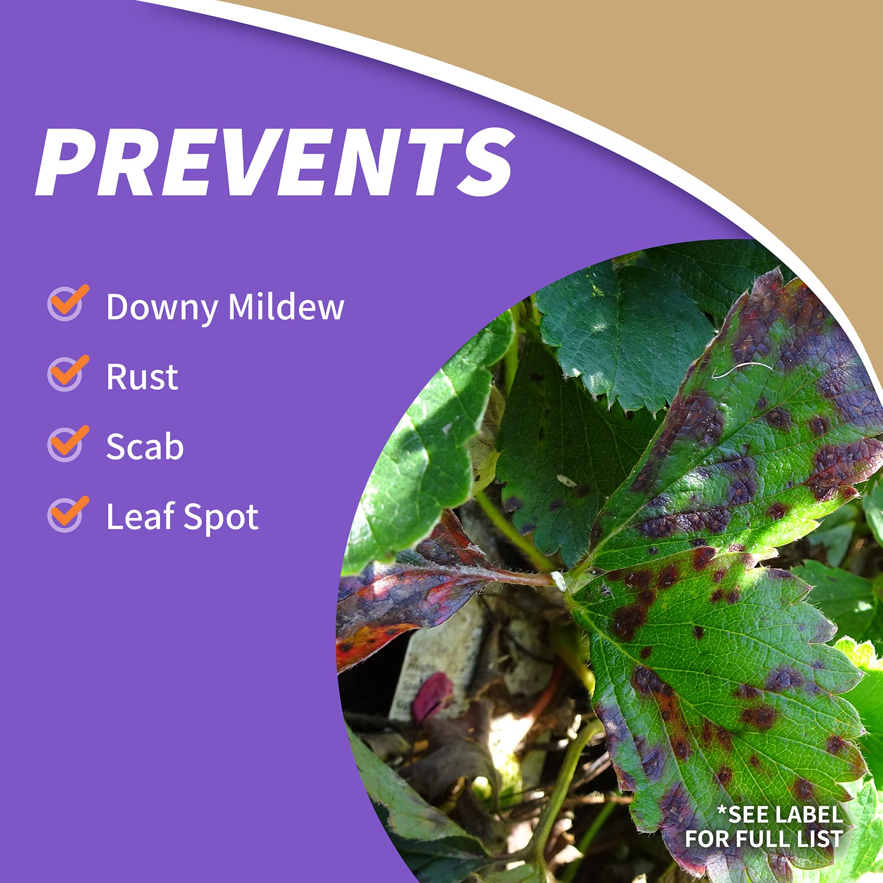 Close-up of Bonide Fruit Tree Spray application on plants