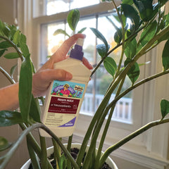 Close-up of Bonide Neem Max spray label and instructions