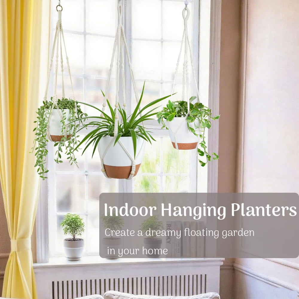 Close-up of Bouqlife macrame hanger for planters