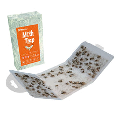 Close-up of Briteen Moth Trap pheromone attractant