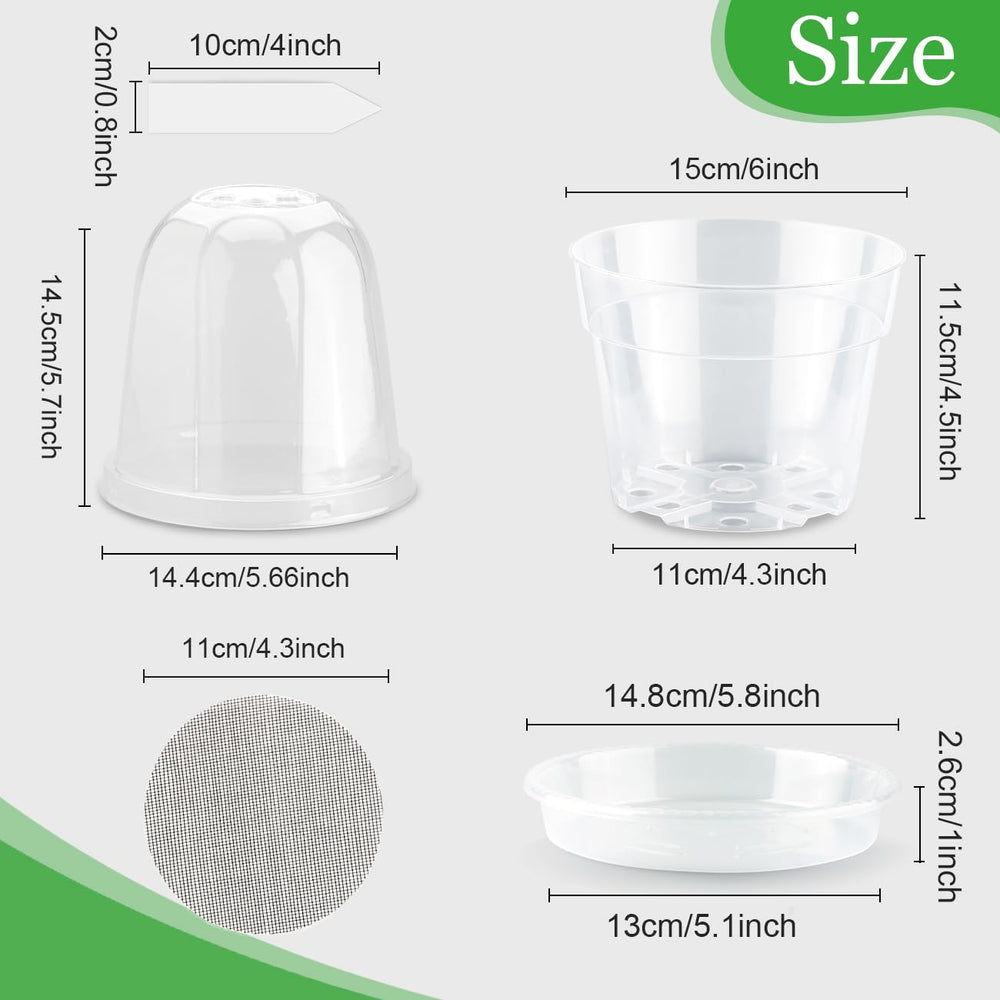 Close-up of BTPLASTIK clear nursery pot showing drainage holes