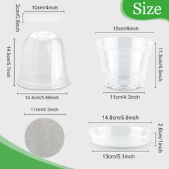 Close-up of BTPLASTIK clear nursery pot showing drainage holes