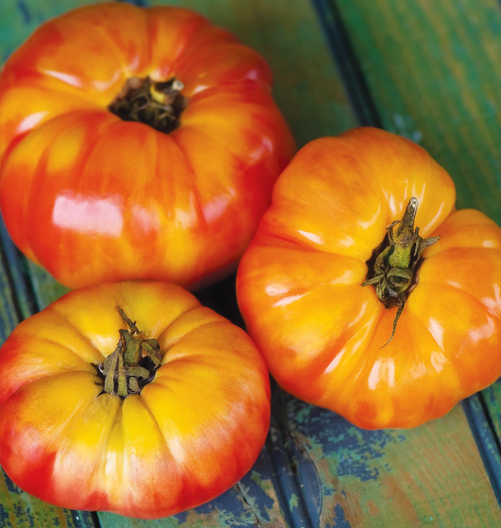 Close-up of Burpee Big Rainbow Heirloom tomatoes on a platter