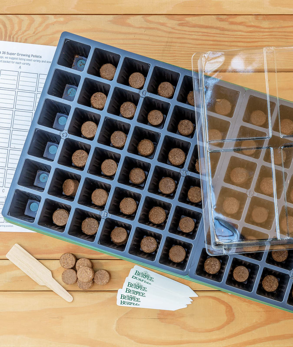 Close-up of Burpee coir pellets in seed starting tray