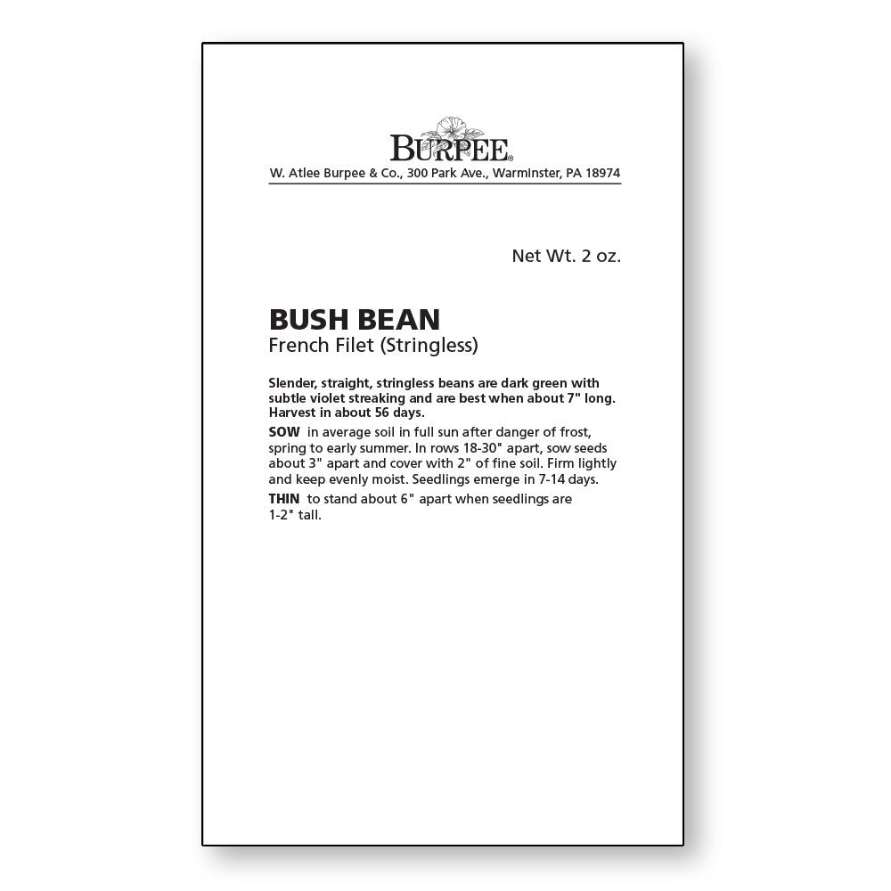 Close-up of Burpee French Filet Bush Beans seeds