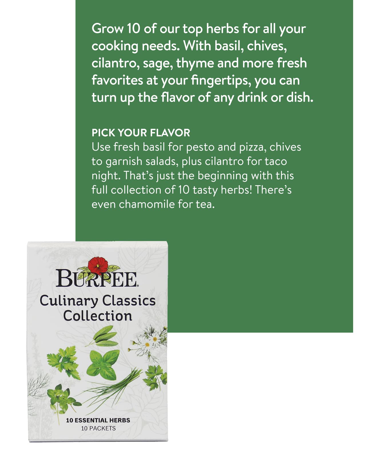 Close-up of Burpee's basil seed packet from the Culinary Classics collection
