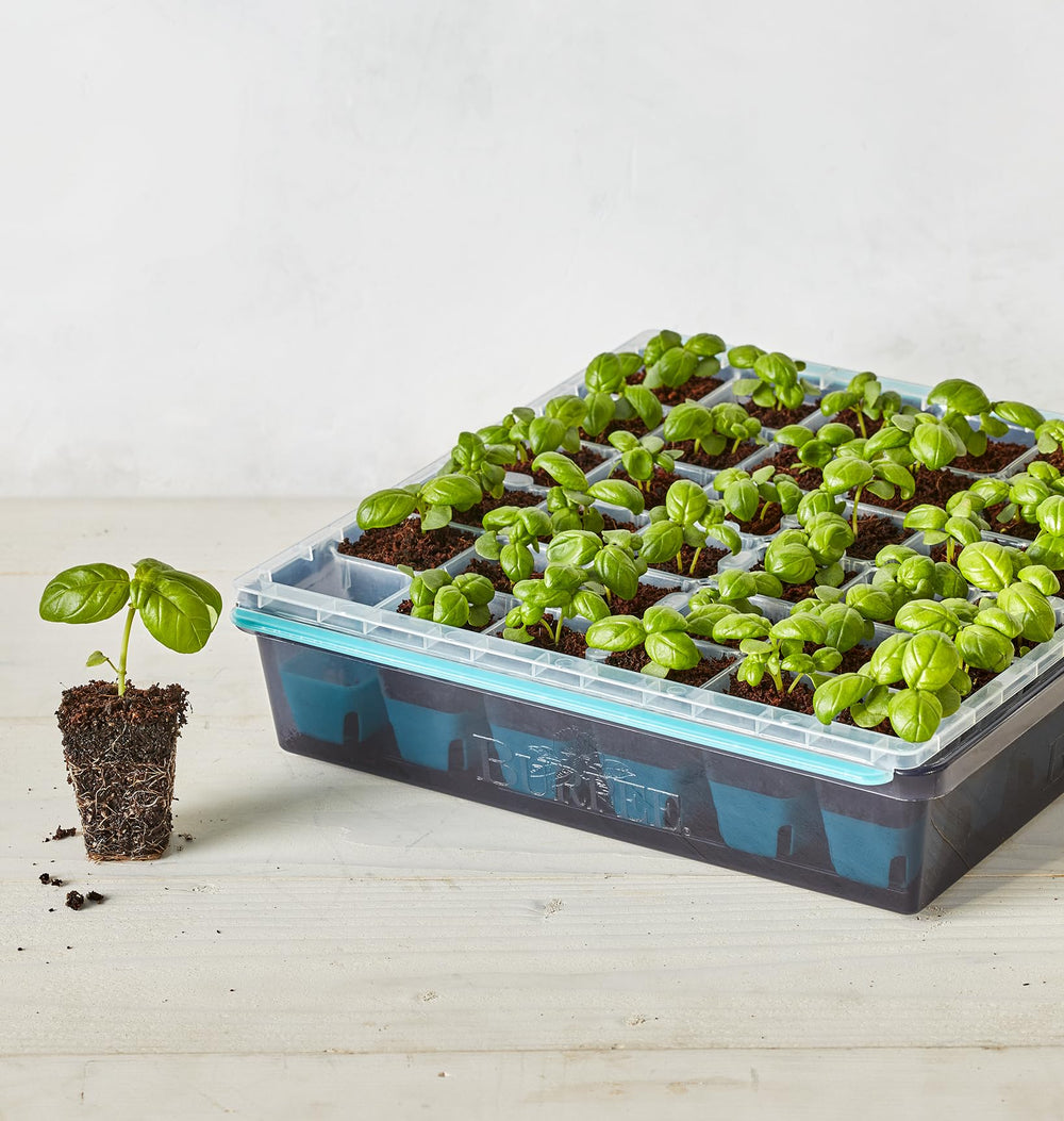 Close-up of Burpee SuperSeed 36-Cell Seed Tray label