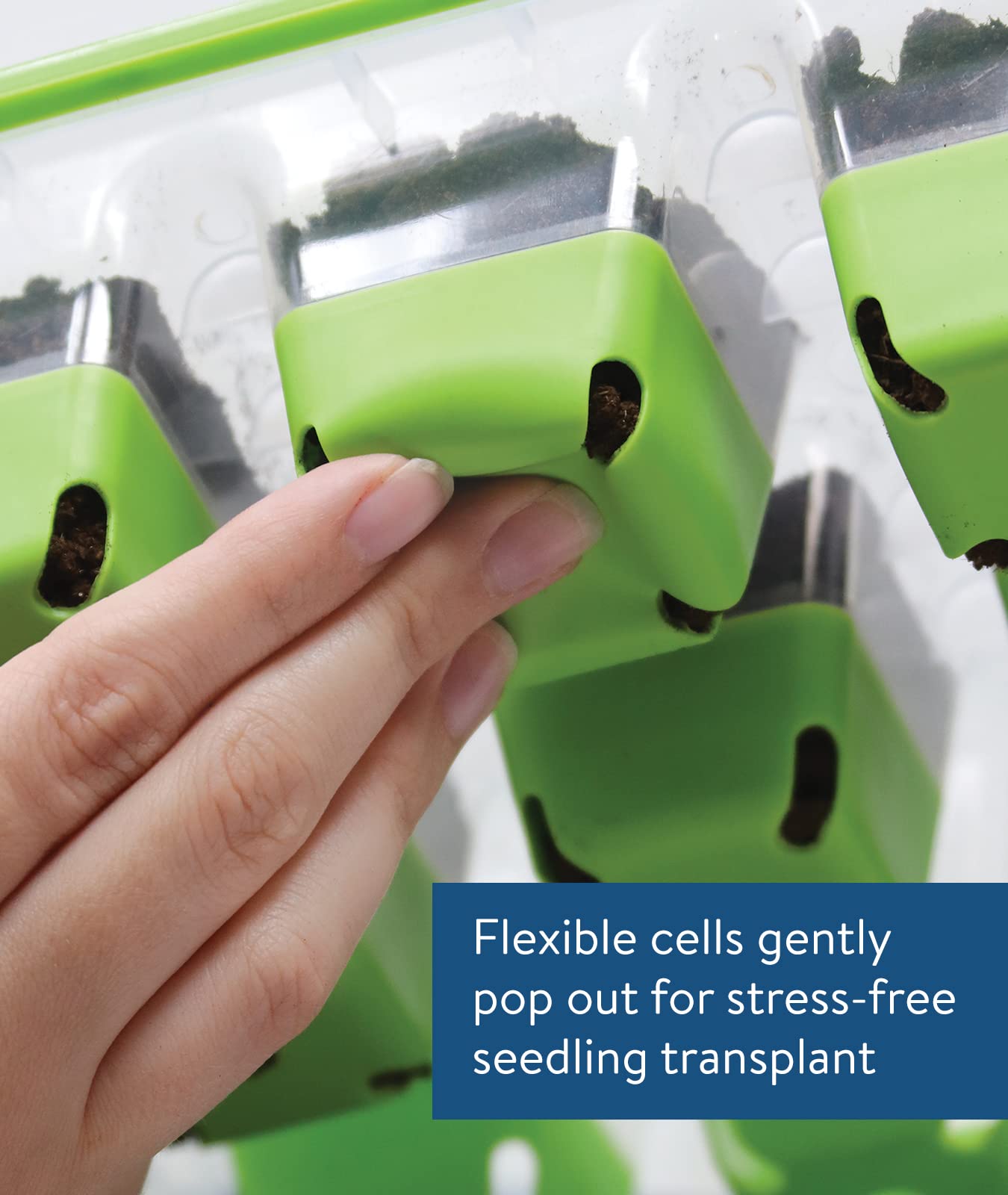 Close-up of Burpee SuperSeed tray showing flexible silicone cells