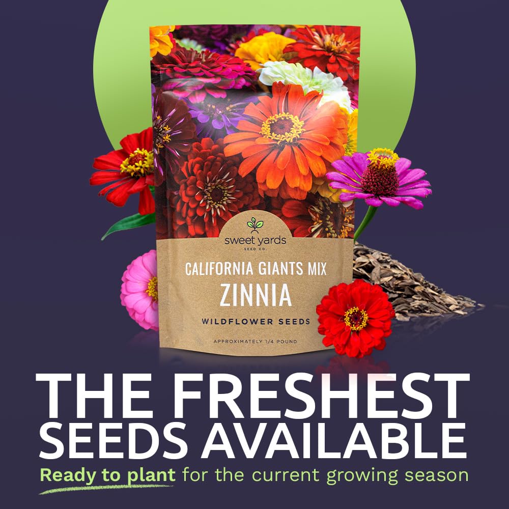 Close-up of California Giants Zinnia Seeds in packaging