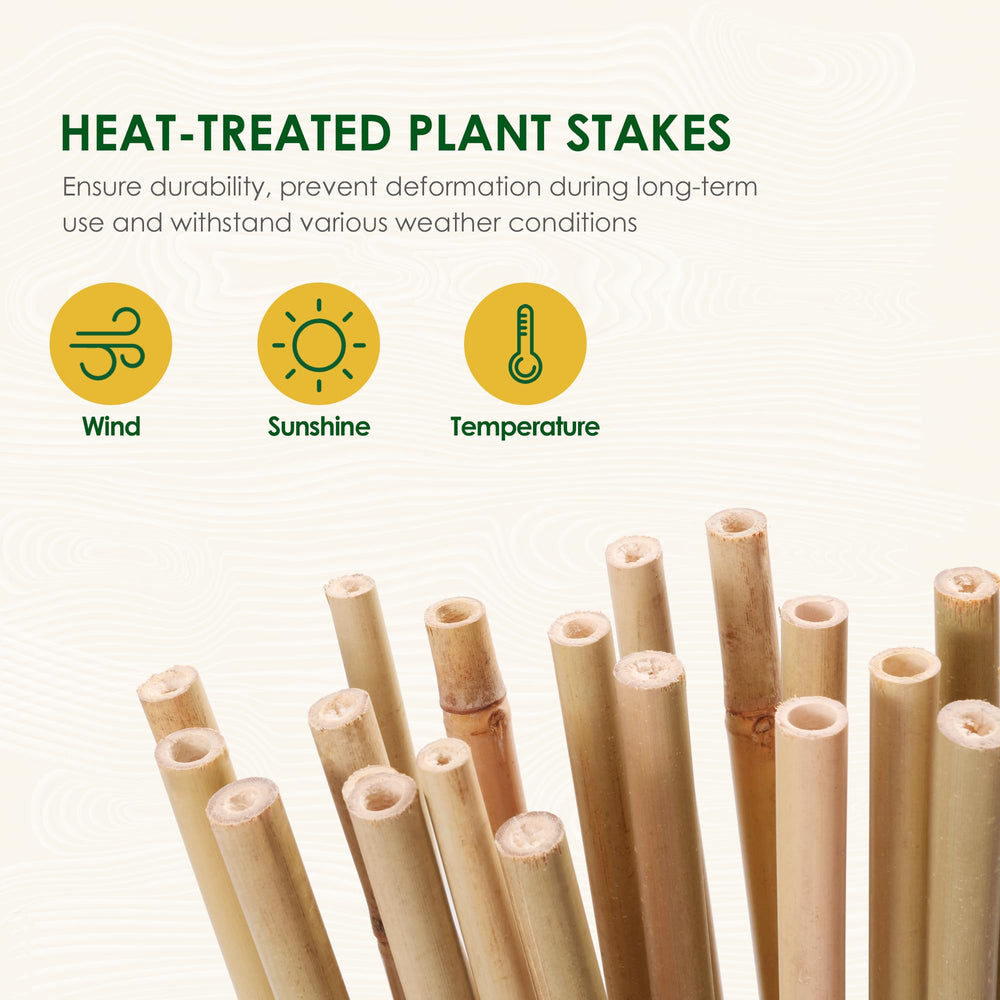 Close-up of Cambaverd Bamboo Stakes 3ft natural bamboo material