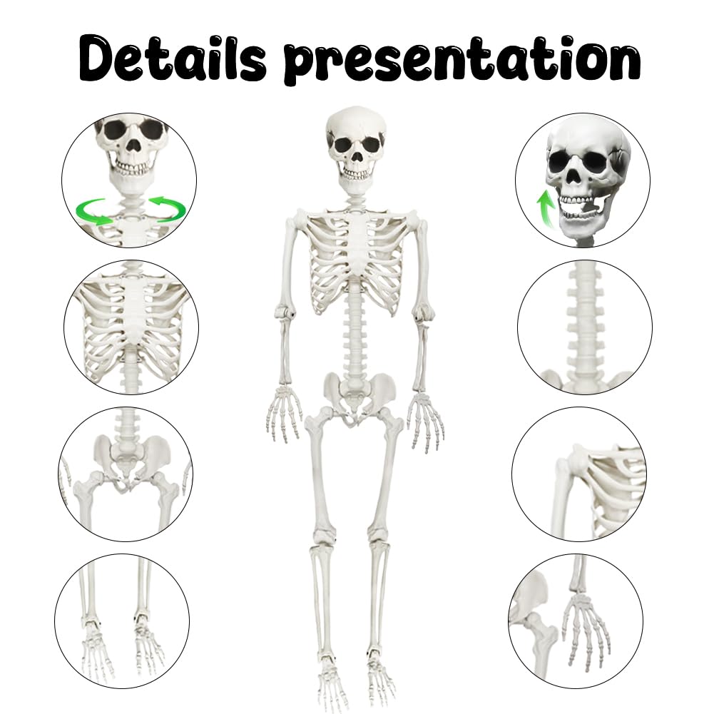 Close-up of CAMIRUS skeleton's posable joints
