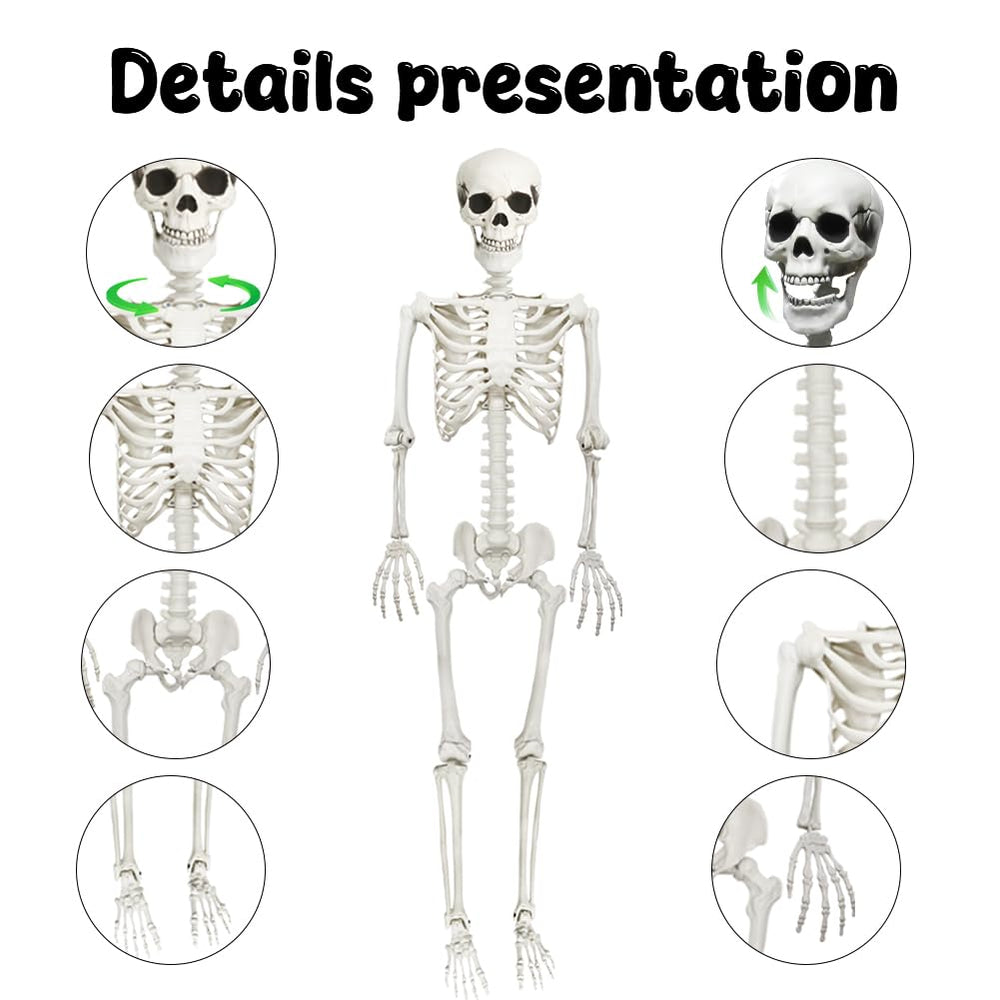Close-up of CAMIRUS skeleton's posable joints
