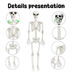 Close-up of CAMIRUS skeleton's posable joints