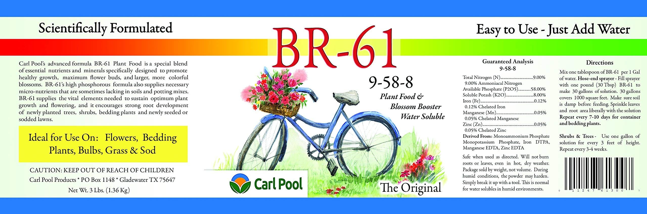 Close-up of Carl Pool BR-61 Plant Food powder texture