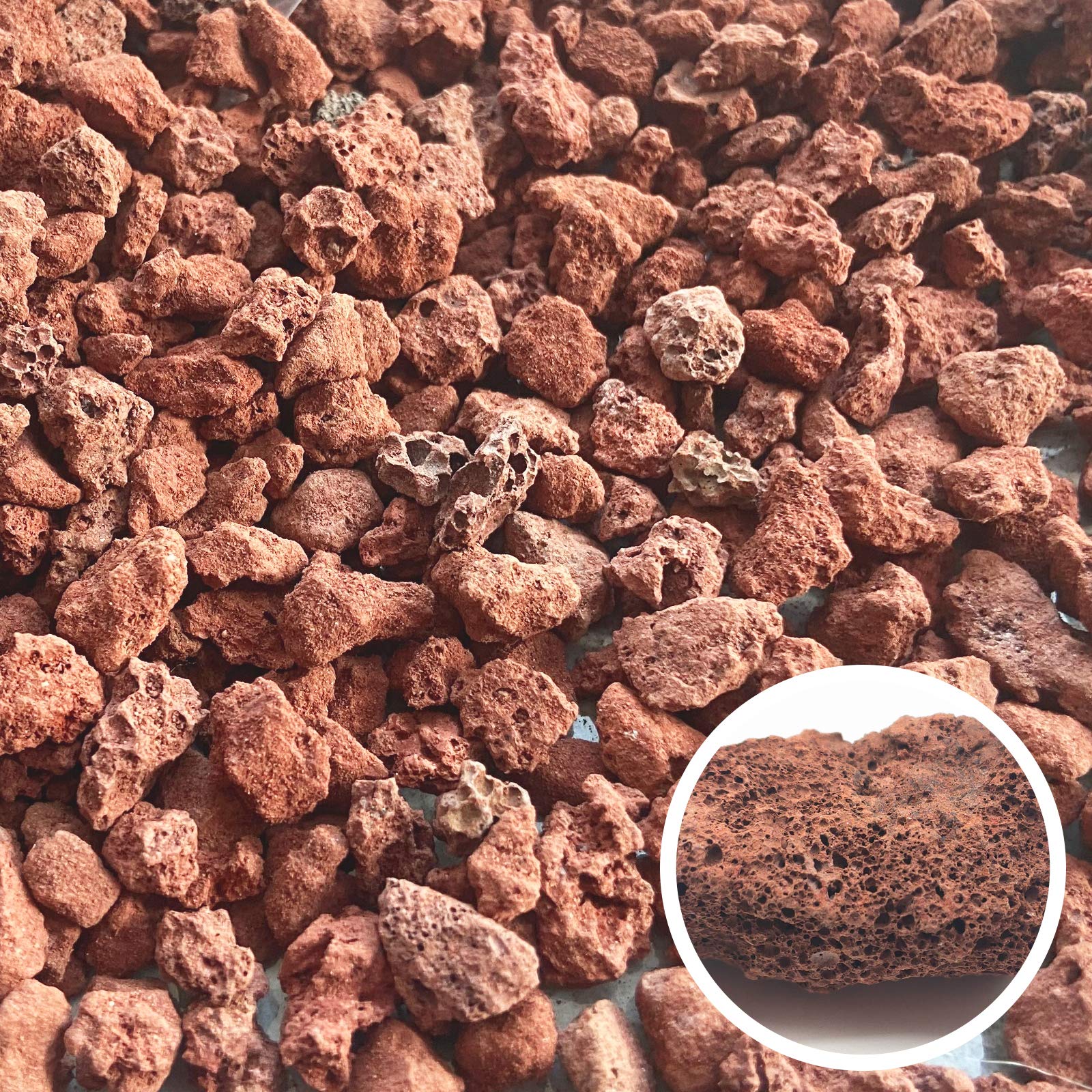 Close-up of CARURBODY Red Lava Rocks showing texture