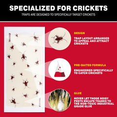 Close-up of Catchmaster Cricket XL Glue Board surface