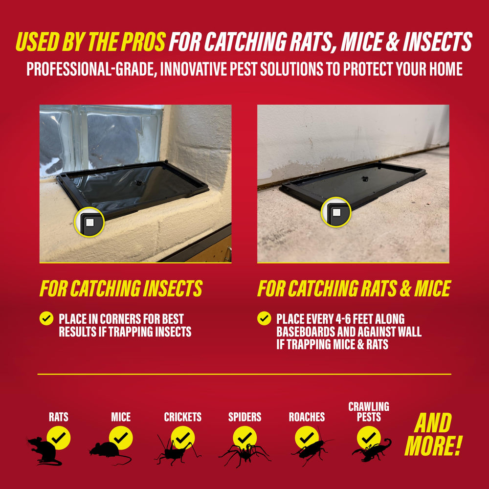 Close-up of Catchmaster glue trap surface
