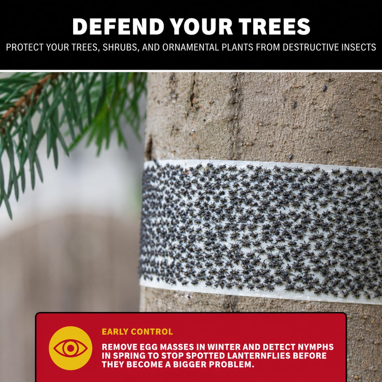 Close-up of Catchmaster Tree Shield adhesive surface