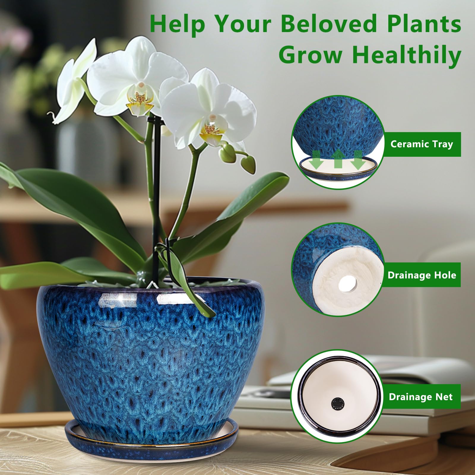 Close-up of Ceramicfor 10 Inch Blue Planter Pot