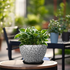 Close-up of Ceramicfor 6 Inch Ceramic Planter Pot glaze finish