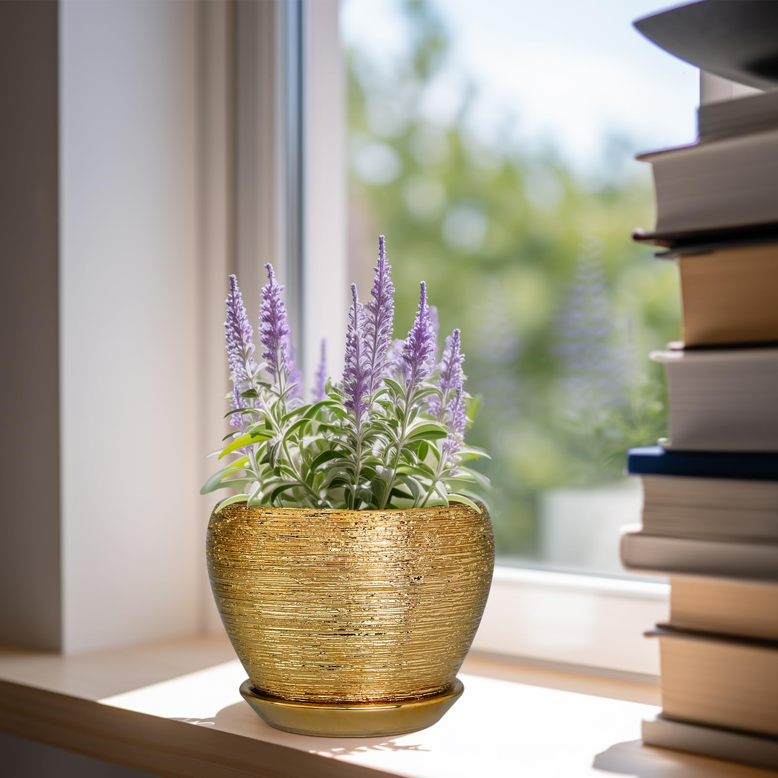 Close-up of Ceramicfor 6 Inch plant pot showing drainage net