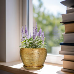 Close-up of Ceramicfor 6 Inch plant pot showing drainage net