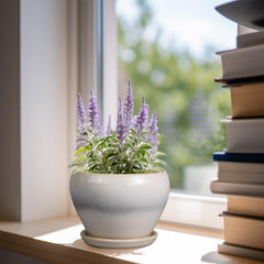 Close-up of Ceramicfor Ceramic Planter Pot showing the drainage hole