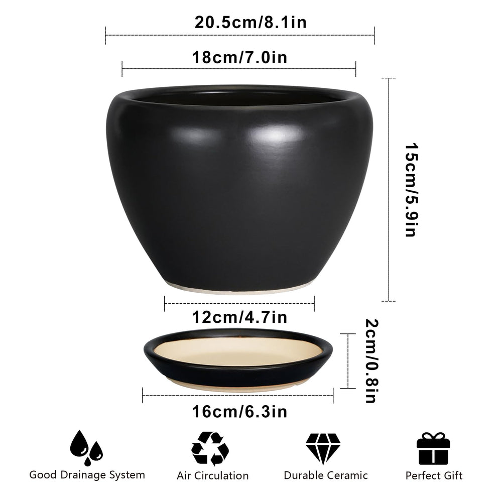 Close-up of Ceramicfor planter pot and saucer