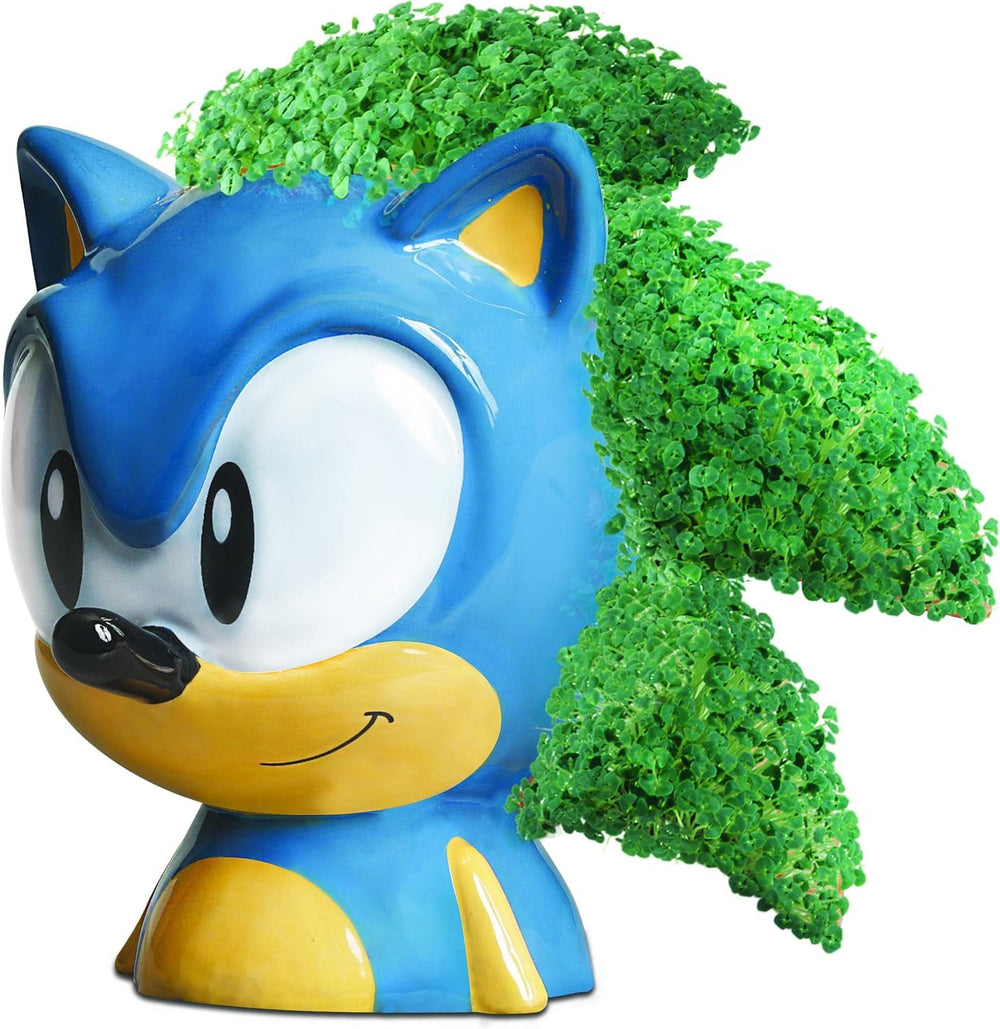 Close-up of Chia Pet Sonic planter with green chia growth