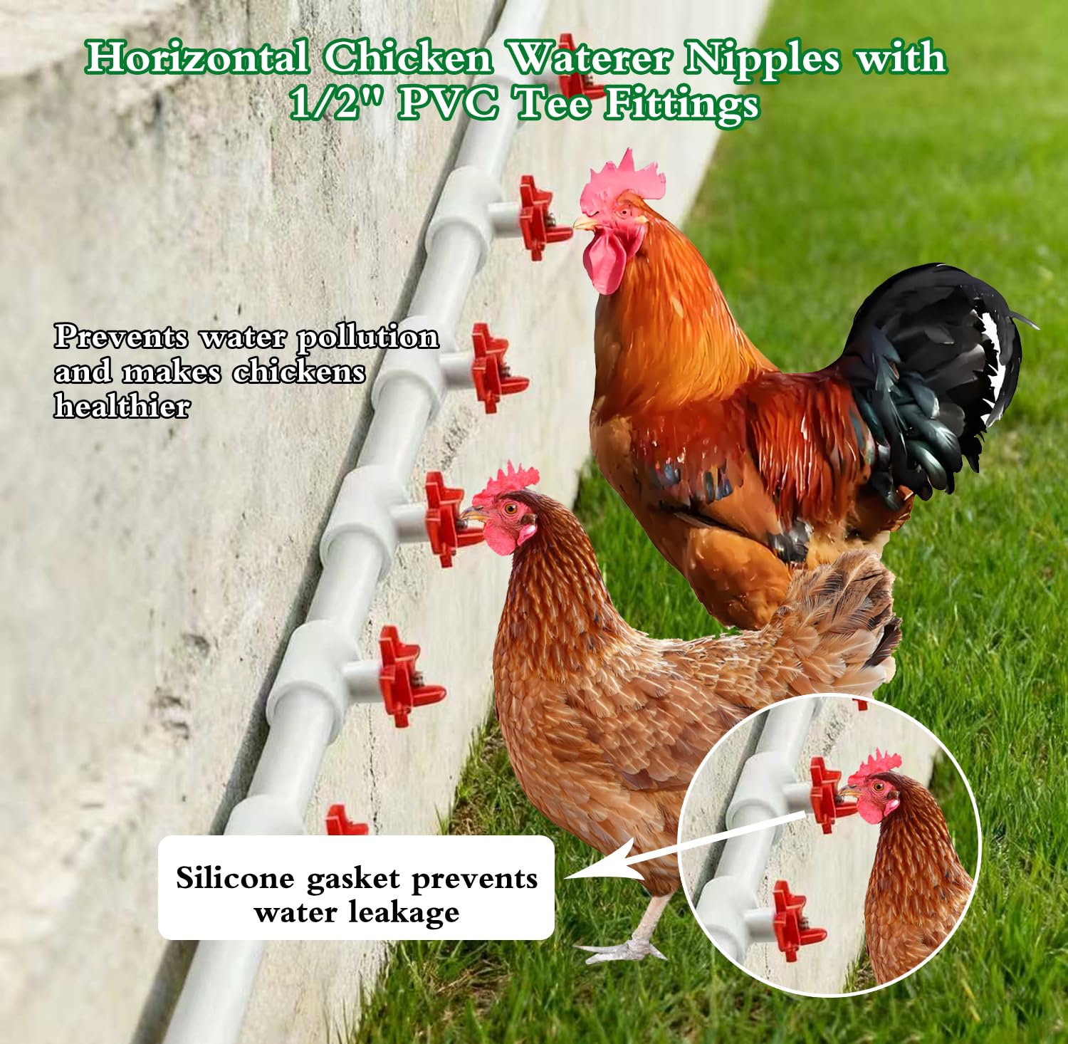 Close-up of chicken nipple waterer with stainless steel trigger pin