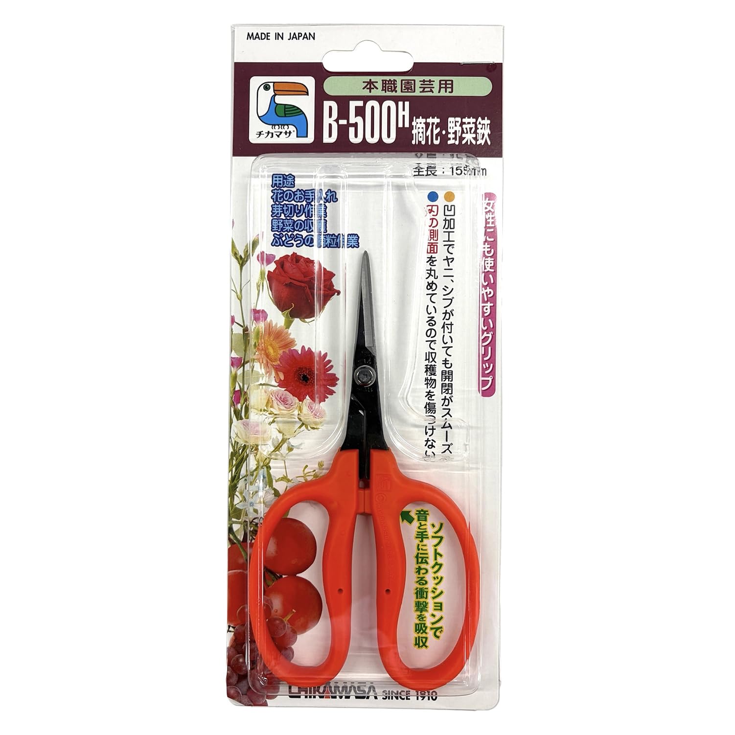 Close-up of Chikamasa B-500H scissors showing the sharp carbon steel blade