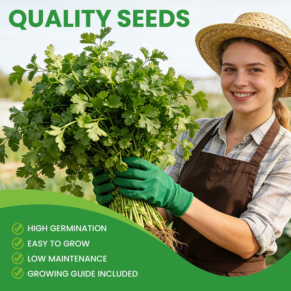 Close-up of cilantro seeds in resealable packaging
