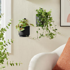 Close-up of CISEANOL Hanging Planter with succulents