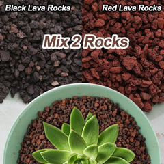 Close-up of CJGQ Mix Lava Rocks showcasing texture and colour