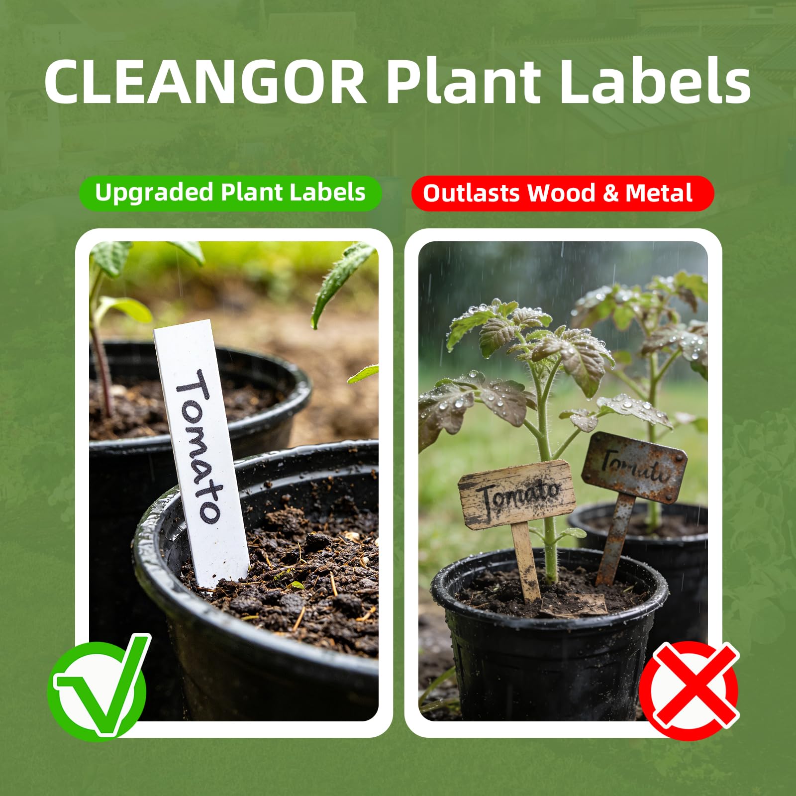 Close-up of CLEANGOR 4-inch plant labels