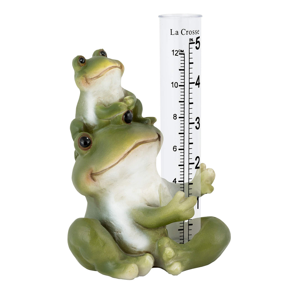 Close-up of clear rain collector inside frog figurine