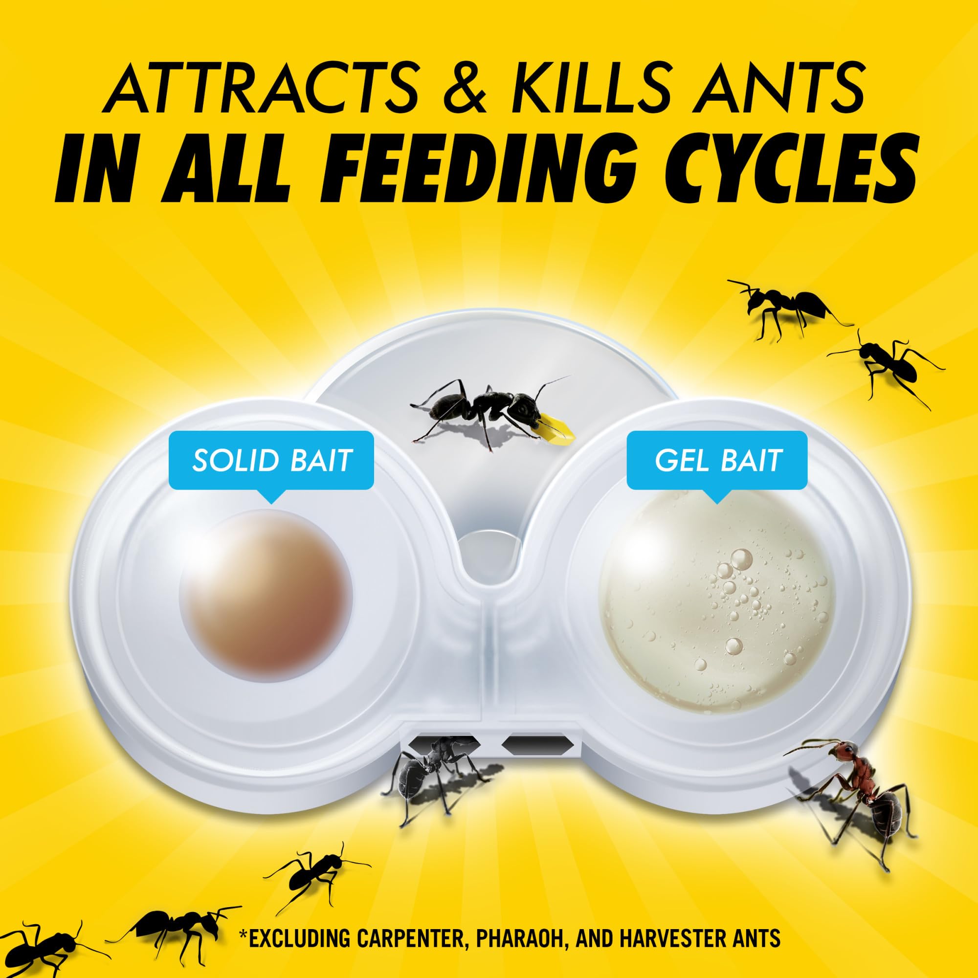 Close-up of Combat Max 2in1 Ant Bait Station gel