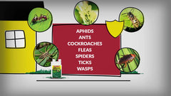 Close-up of Compare-N-Save Bifenthrin 8 oz bottle label