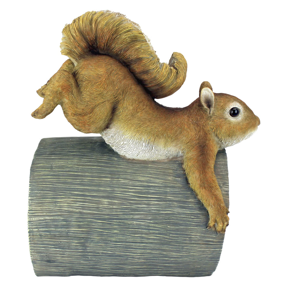 Close-up of Crash THE Squirrel's face and ears