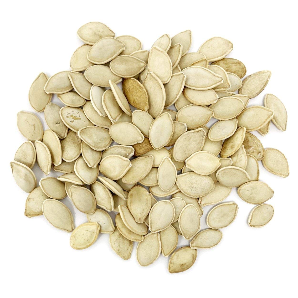 Close-up of Crookneck Squash seeds from The Old Farmer's Almanac