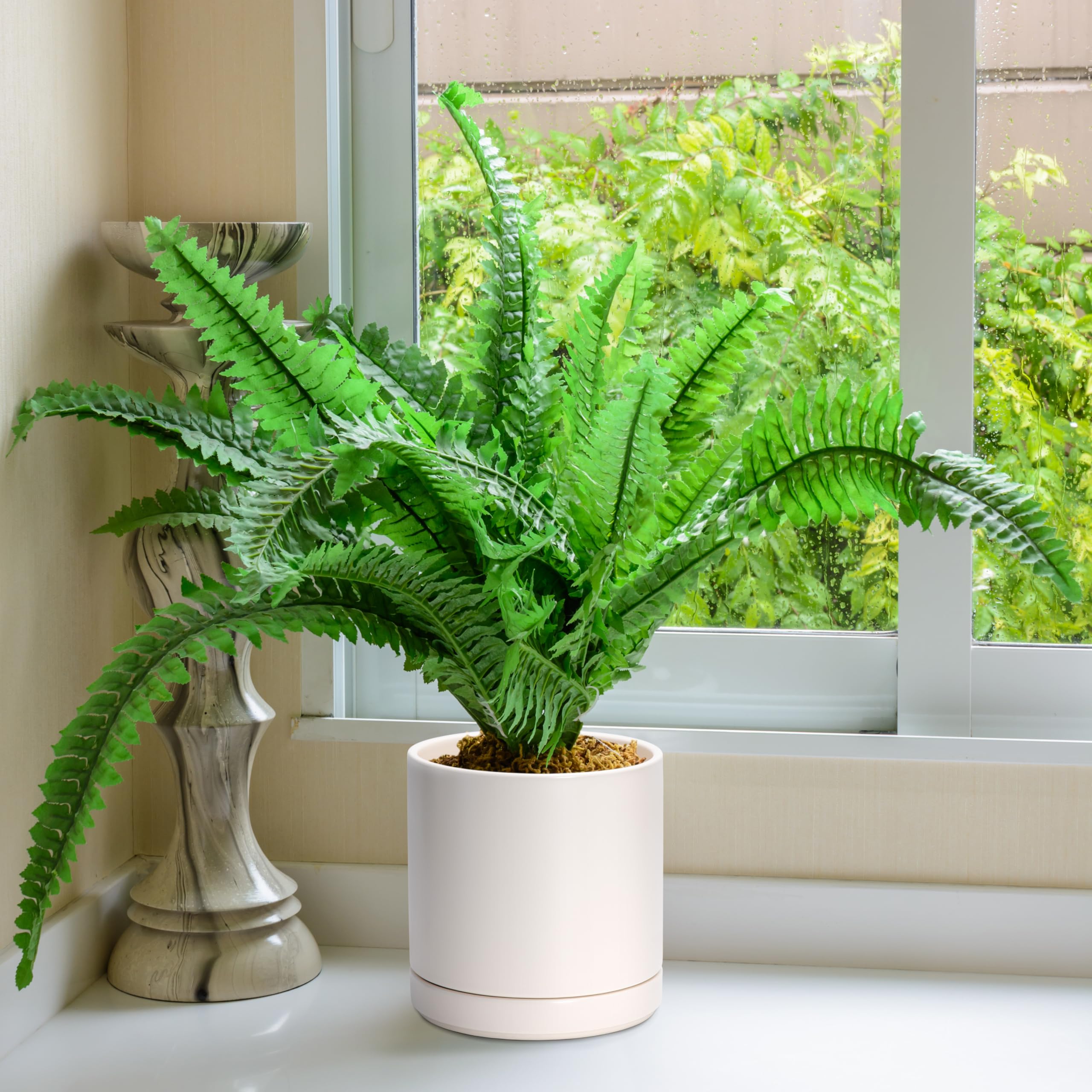 Close-up of D'vine Dev Ceramic Planter Pot texture