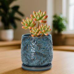 Close-up of D'vine Dev ceramic planter showing drainage hole and saucer