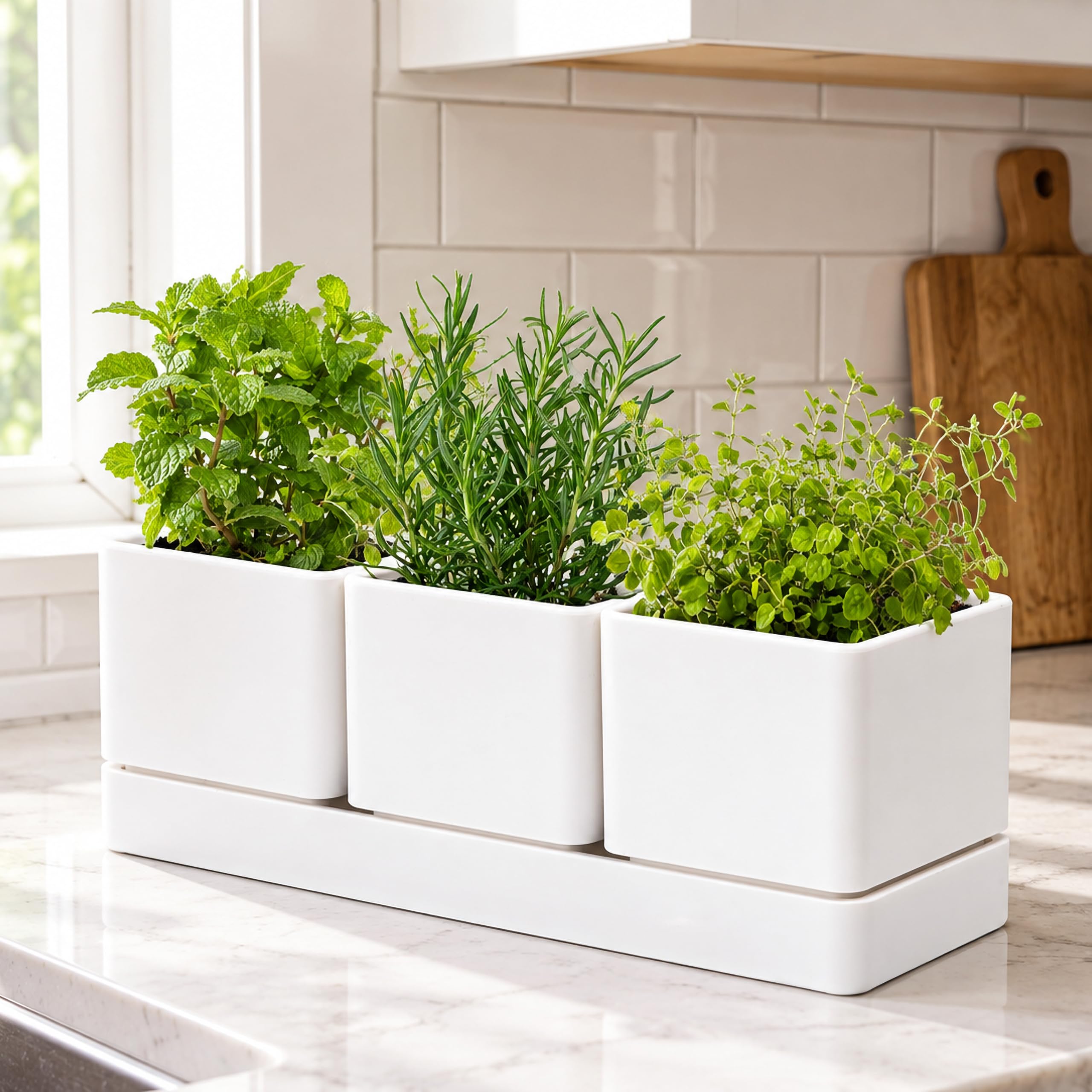 Close-up of D'vine Dev herb pots showing drainage holes