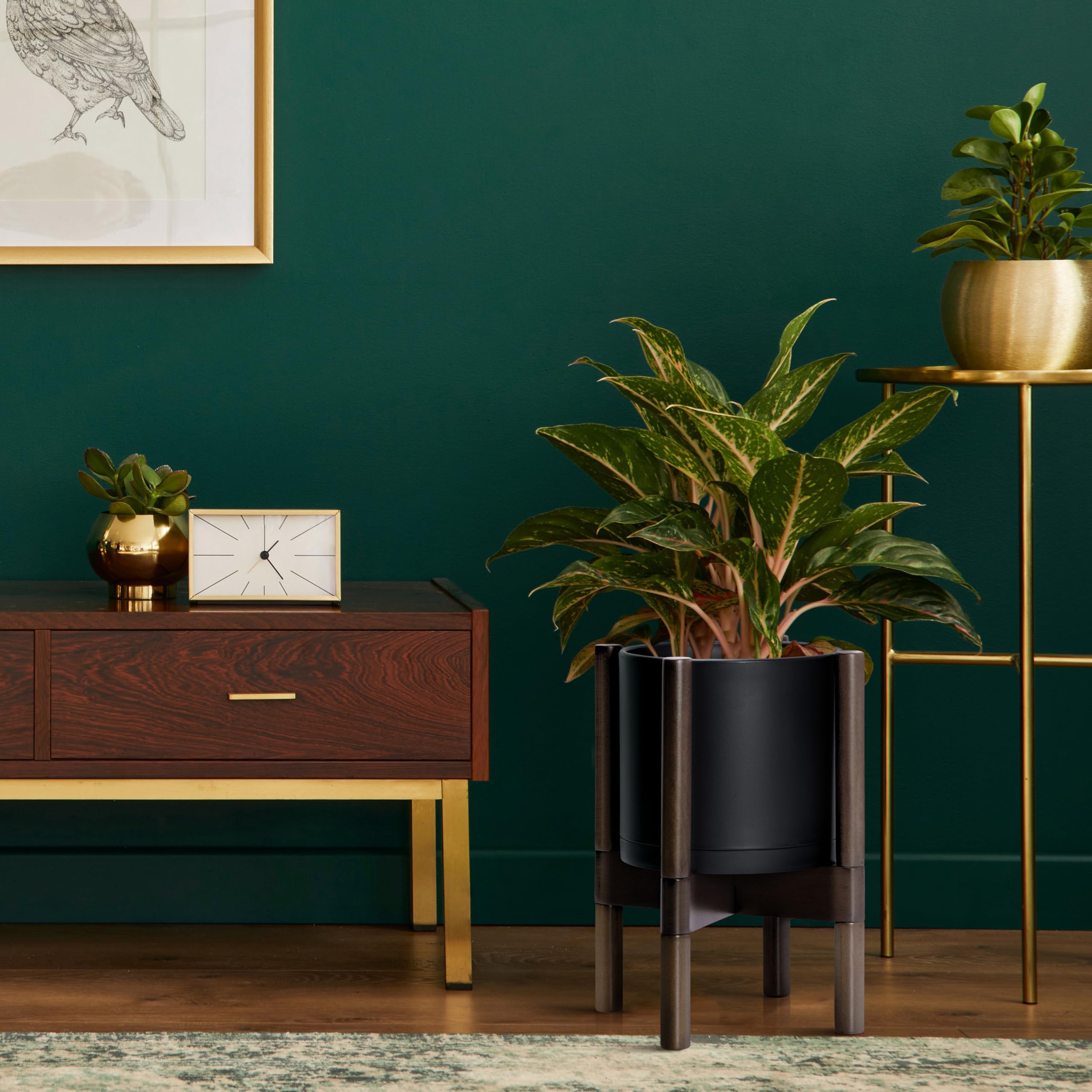 Close-up of D'vine Dev matte black pot with walnut finish