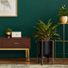 Close-up of D'vine Dev matte black pot with walnut finish