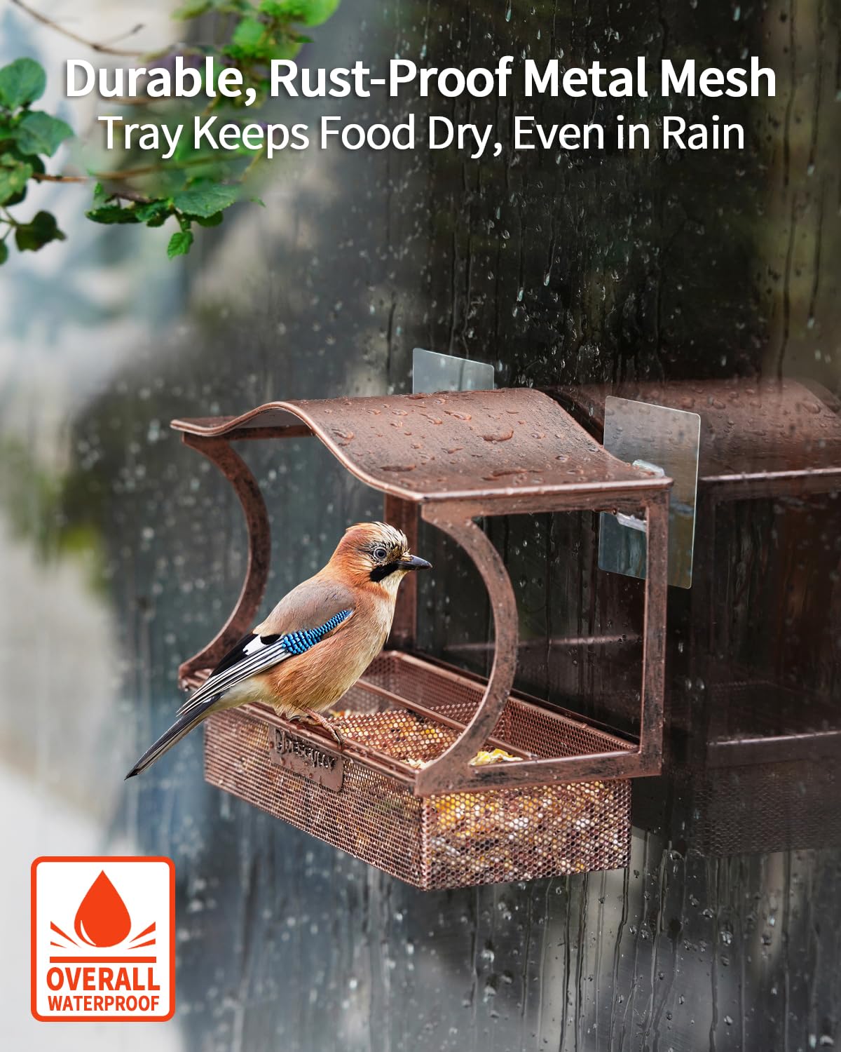 Close-up of DesGully Window Bird Feeder with birds feeding
