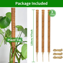 Close-up of Dimpoo 47'' Moss Pole wrapped in natural coconut coir
