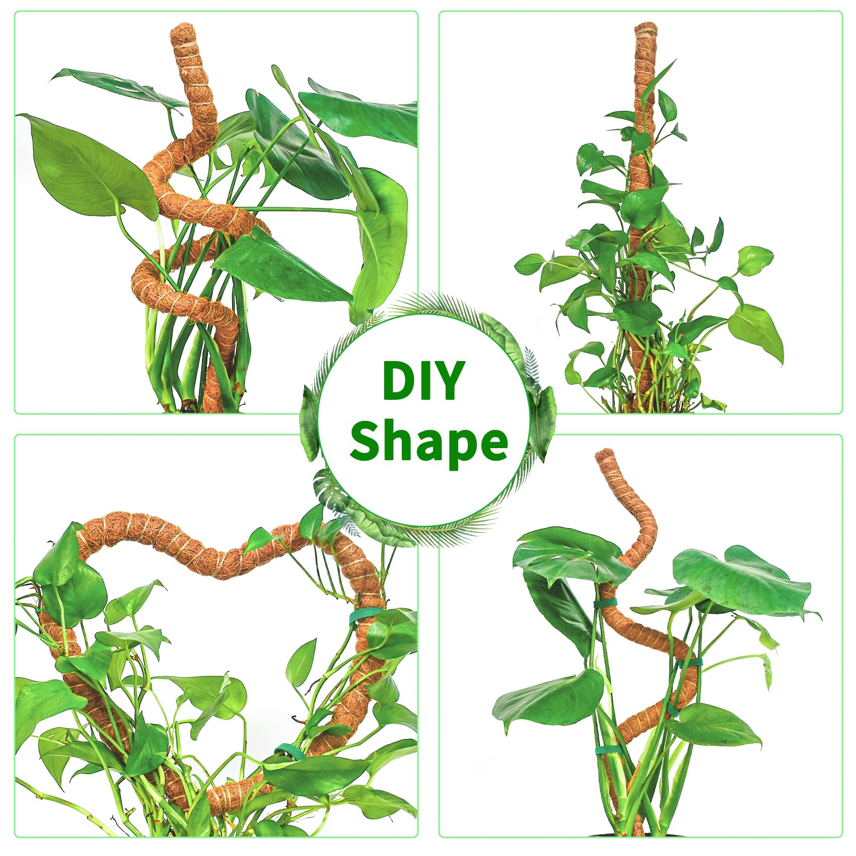 Close-up of Dimpoo moss pole with jute rope and green tape