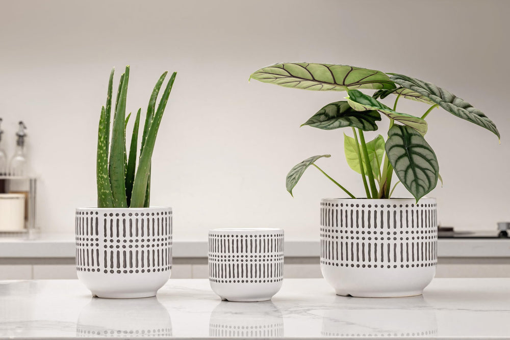 Close-up of Docrin ceramic pot with brownish black and white finish
