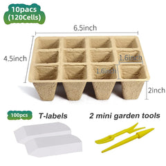 Close-up of Doubleggs seed trays with seedlings